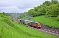 3-3951