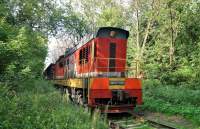 3-5081