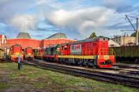 3-6594