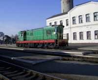 3-6619