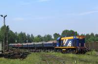 TEM2-241