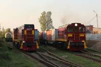 6-0229