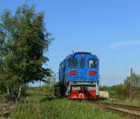 6-0008