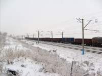     10-313