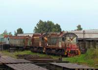 1-0709  1M-1936