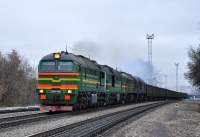 262-0081