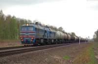 362-0081