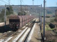 Fals Cargo coal
