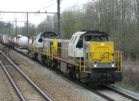 typ78 42.19-04-2006 062