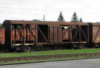   23943954