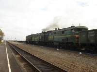 310-1185