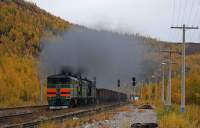 310-1394