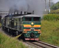  310-1346