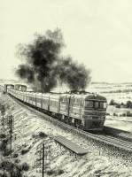 260