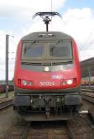 36024