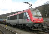 36024