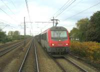 Malines B