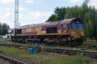  66196