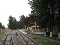  "" 