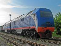 225-0005