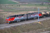  225-0081