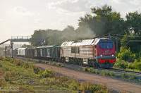  225-0095
