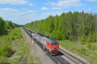 225-0005