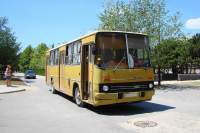 Ikarus 260