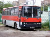  256