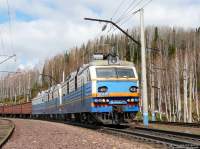 80-1006