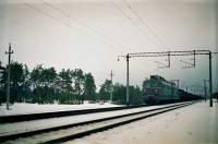  80-081