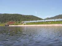 ,  2006.,    
