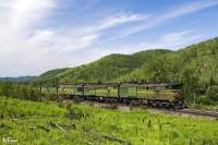 310-0060
