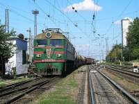  8-1004