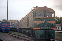  8-1004