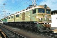 8-1194