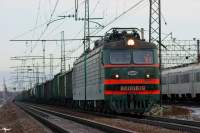 10-619