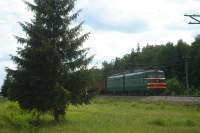 10-772