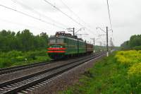 11.8-684  