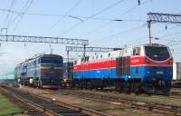 33-0061