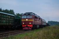  70-0133   