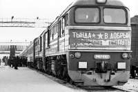 262-0302