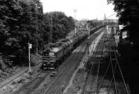 262-0925
