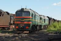  262-0830