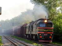262-1206