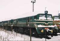 262-0808