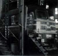 262-0829
