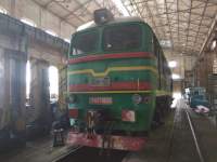 262 0600