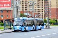   433030 Vitovt Max II	  1169