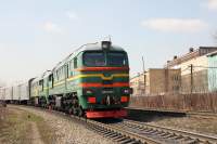 262-0081